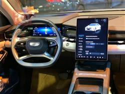 جيلي بریفیس